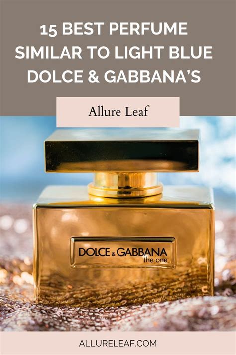 perfume similar to gabbana and dolce